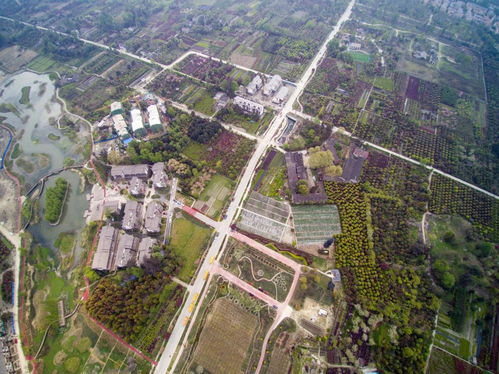 四川一大型軍工廠,曾占地約1200畝,產值超一億,現改建為廉租房
