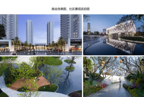 2020年產(chǎn)品力 入圍品質(zhì)項(xiàng)目路演報(bào)告合集——聚焦房產(chǎn)長(zhǎng)沙站與四川房地產(chǎn)